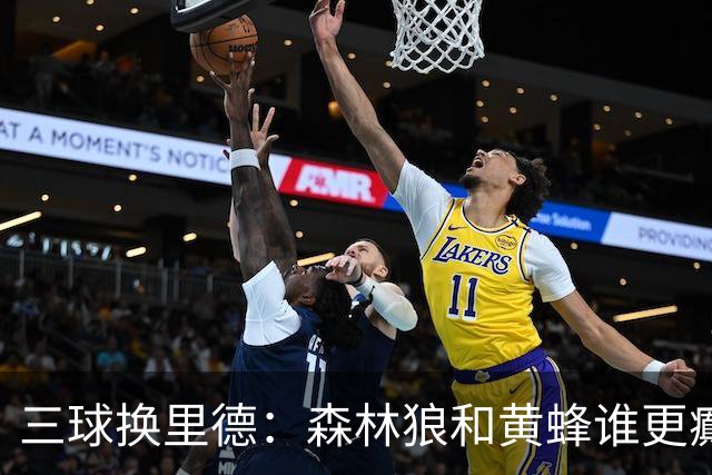 三球换里德：森林狼和黄蜂谁更癫？！