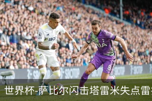 世界杯-萨比尔闪击塔雷米失点雷扎伊扬扳平 半场埃及1-1伊朗