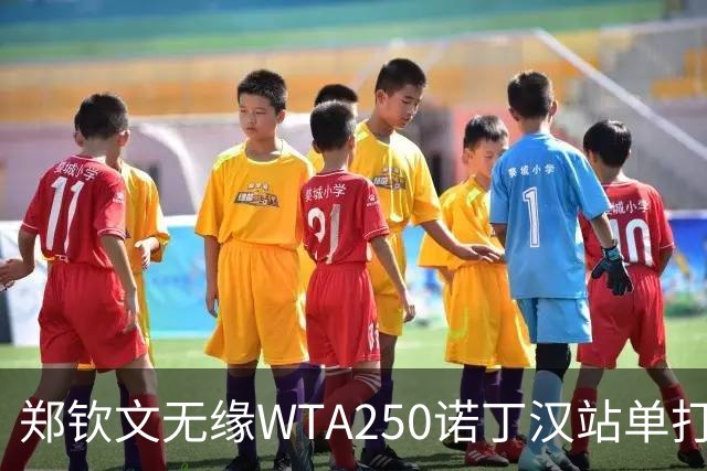 郑钦文无缘WTA250诺丁汉站单打八强